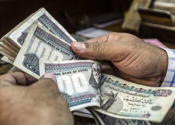 »الإحصاء»: 26.6% زيادة في متوسط الأجور خلال 2024.. والقطاع العام يتفوق على الخاص