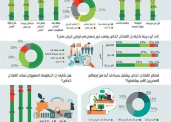 سوق العمل المصري 2024: أكثر من 624 ألف وظيفة شاغرة.. والخدمات والمبيعات الأعلى طلبًا