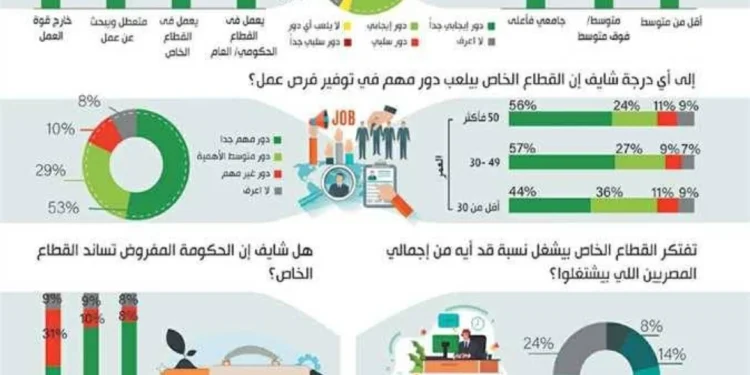 سوق العمل المصري 2024: أكثر من 624 ألف وظيفة شاغرة.. والخدمات والمبيعات الأعلى طلبًا