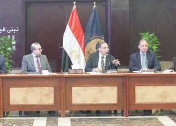 تعزيز كفاءة تمويل المشروعات الصغيرة والمتوسطة في مصر: الرقابة المالية تقود تطوير آليات التمويل والتحول الرقمي