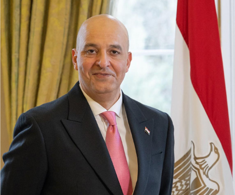 سفير مصر في لندن