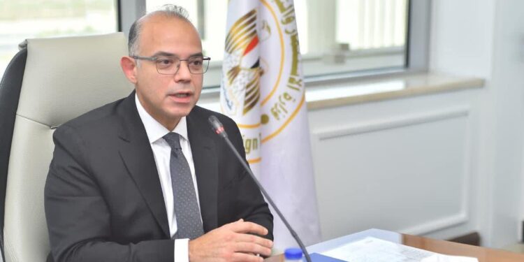 محمد فريد وزير الاستثمار